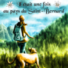 Couverture Saint-Bernard Carrée